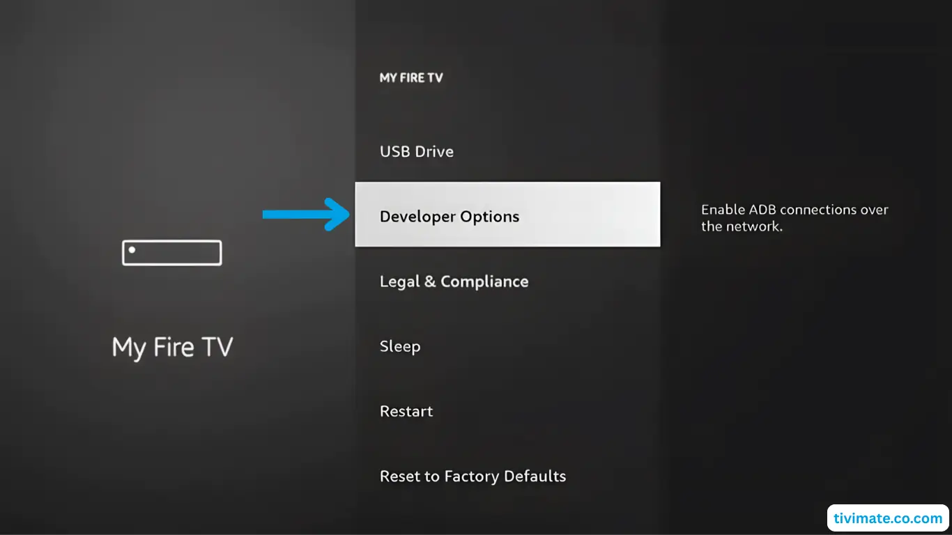 select Developer Options