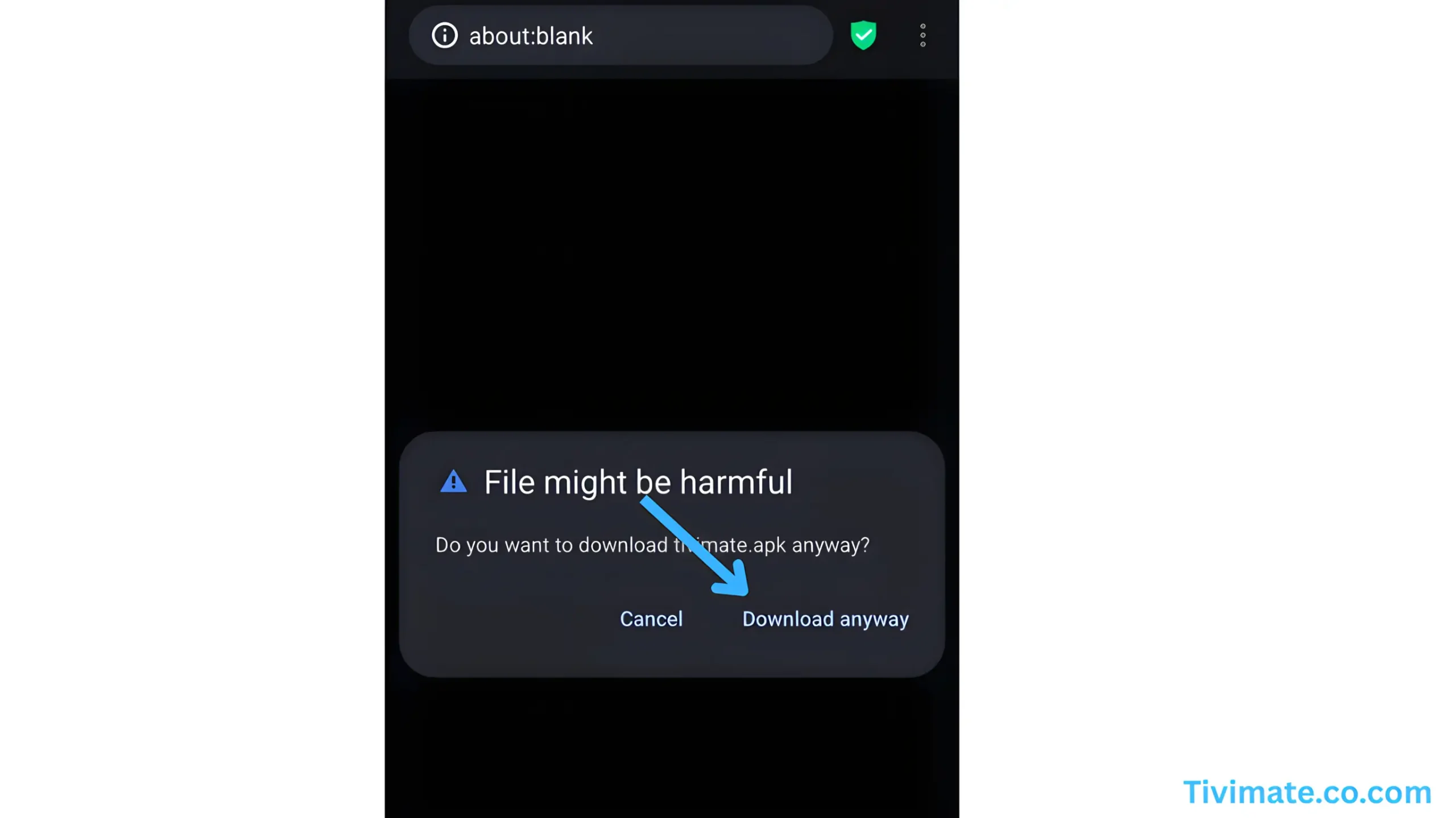 Press Download Anyway to install the Tivimate APK.